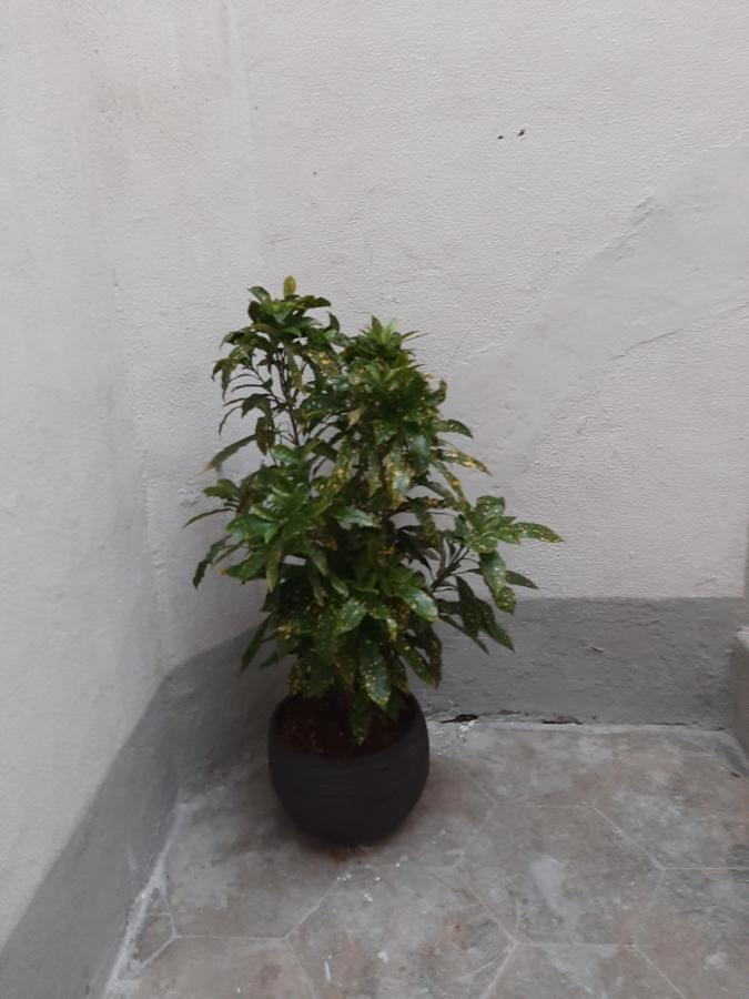 Apartmán Al Crocifisso...Da Nonna Pia Salerno Exteriér fotografie